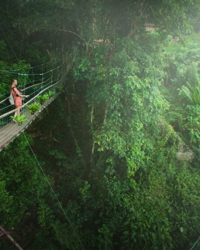 pexels-freestockpro-1004542